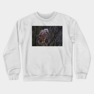 Barred Owl with vole Crewneck Sweatshirt